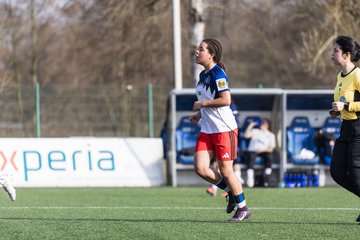 Bild 183 - wBJ Hamburger SV - Hertha BSC : Ergebnis: 2:1